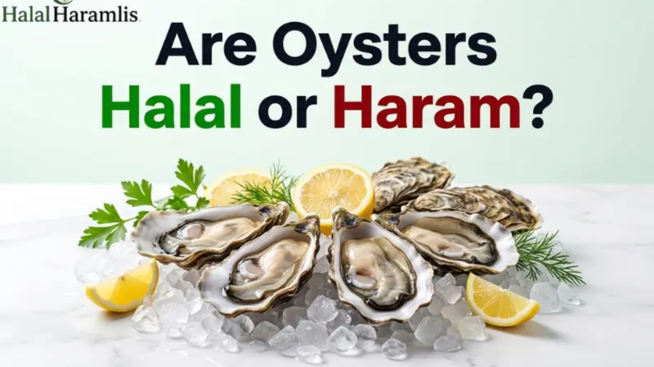 Are Oysters Halal or Haram?