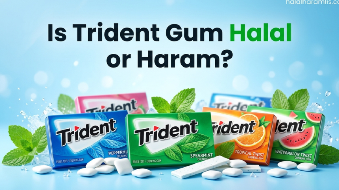 Is Trident Gum Halal or Haram