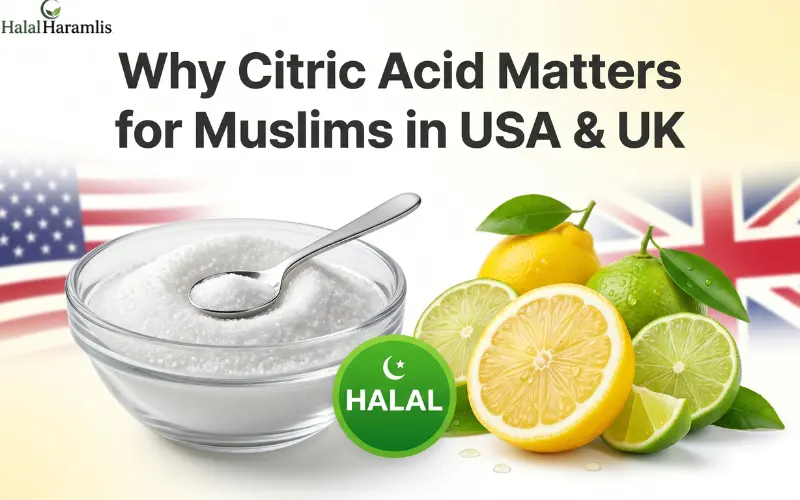 Is Citric Acid Halal