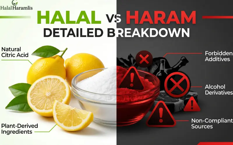 Is Citric Acid Halal